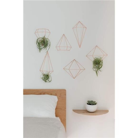 Geometric Sculptures, Decorate Your Wall with Modern Metallic Wire - Picture 4 of 14